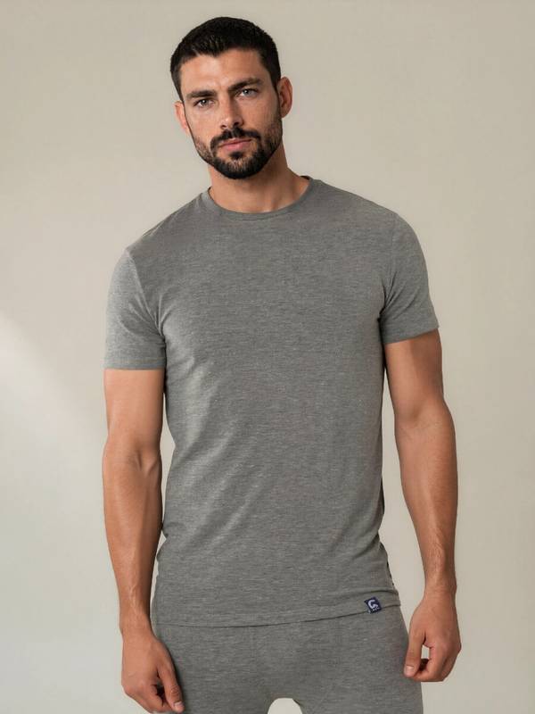 Coastland of Denmark herre T-shirt med merinould, Grå