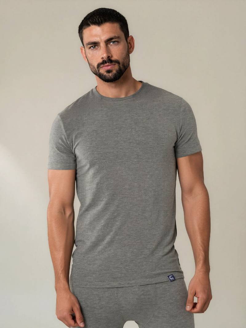 Coastland of Denmark herre T-shirt med merinould, Grå